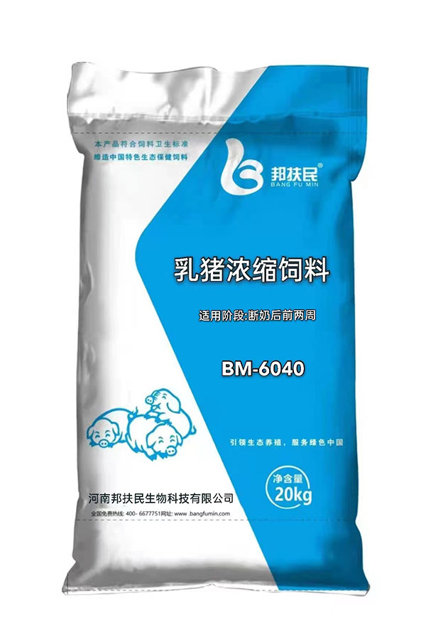 40%乳猪手机看片福利免费